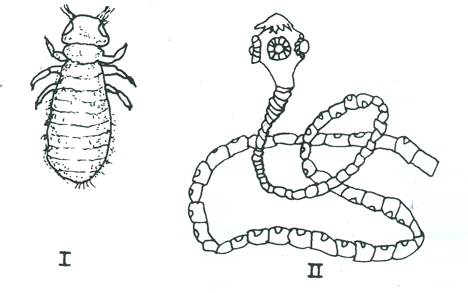 Sub-part image